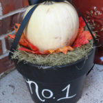 Post image for An Easy Solution to My Dead Plants